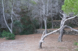 2024_10_09-10_21_22.jpg