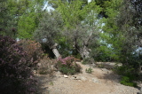 2024_10_09-11_52_44.jpg