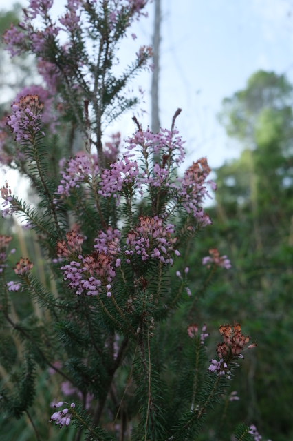 2024_10_07-11_20_27.jpg