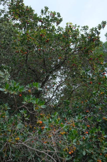 2024_10_07-15_46_35.jpg