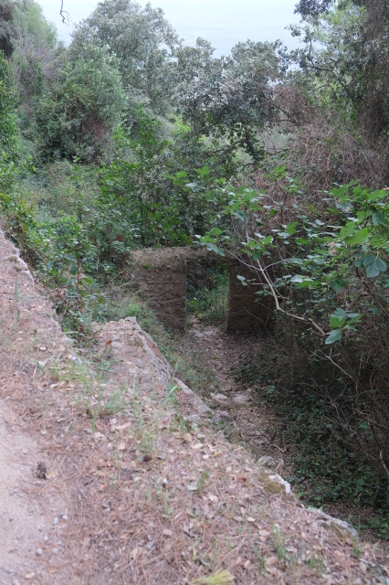2024_10_07-16_25_31.jpg