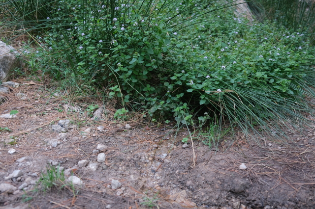 2024_10_09-10_47_23.jpg