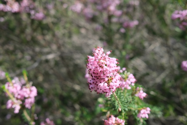 2024_10_09-11_54_17.jpg