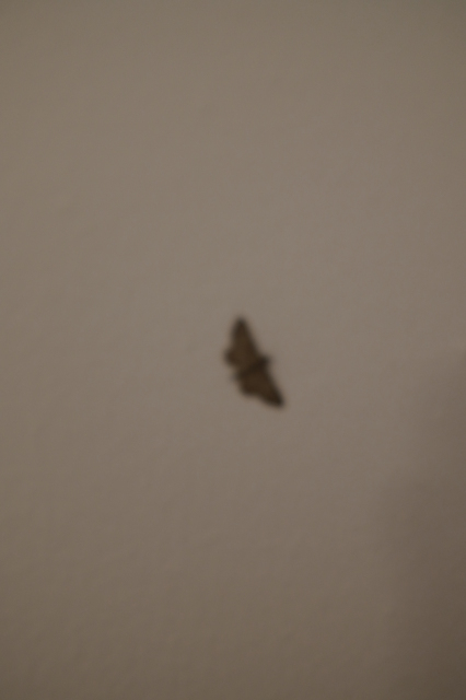 2024_10_11-09_41_18.jpg