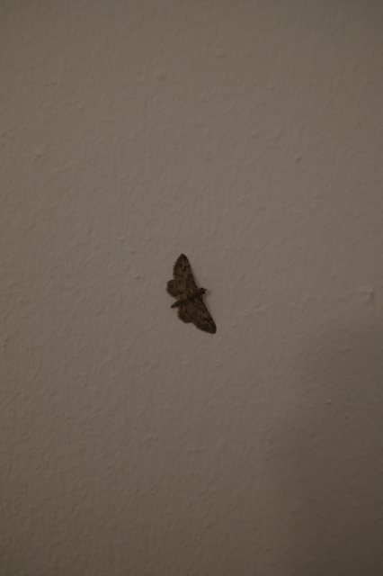 2024_10_11-09_41_21.jpg