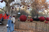 2024_12_20-15_02_59.jpg