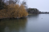 2024_12_22-13_50_41.jpg