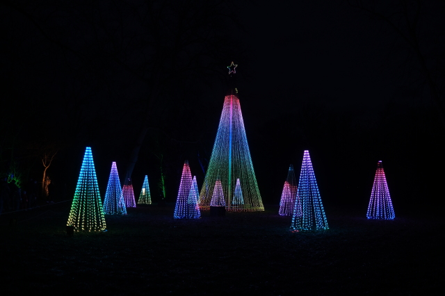 2024_12_22-16_36_23.jpg