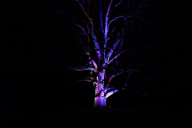 2024_12_22-17_25_18.jpg