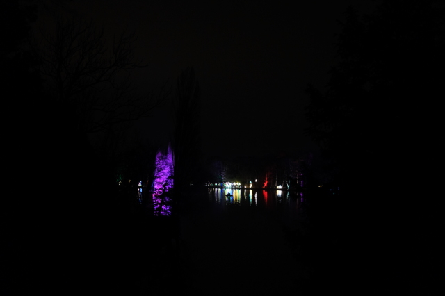 2024_12_22-18_22_55.jpg