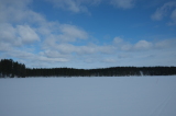 2025_03_19-12_29_05.jpg