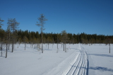 2025_03_20-10_28_39.jpg