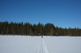 2025_03_20-11_20_20.jpg