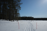 2025_03_20-11_21_04.jpg