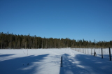 2025_03_20-14_02_06.jpg