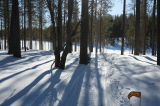 2025_03_21-10_17_06.jpg