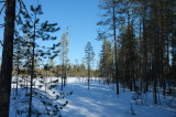 2025_03_21-12_42_13.jpg