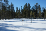 2025_03_21-12_42_25.jpg
