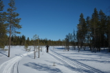 2025_03_21-12_43_57.jpg