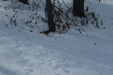 2025_03_22-11_04_14.jpg