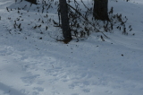 2025_03_22-11_04_18.jpg