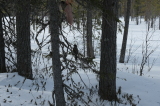 2025_03_22-11_04_24.jpg