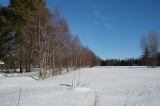 2025_03_23-08_52_31.jpg