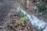 2026_03_23-08_58_14.jpg