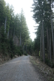 2026_03_25-08_55_57.jpg