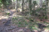 2026_03_25-09_26_04.jpg