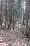 2026_03_25-09_29_18.jpg