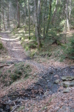 2026_03_25-09_29_24.jpg