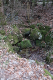 2026_03_25-11_20_04.jpg