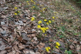 2026_03_25-12_36_34.jpg