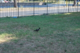 2026_07_12-17_03_07.jpg