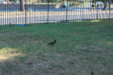 2026_07_12-17_03_09.jpg