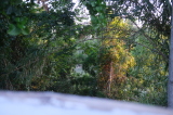 2026_07_12-20_17_07.jpg