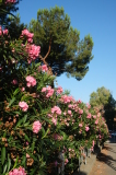 2026_07_13-07_45_43.jpg