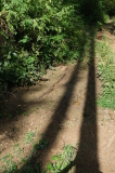 2026_08_31-10_10_21.jpg