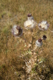 2026_09_02-10_57_56.jpg