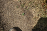 2026_09_02-11_35_36.jpg