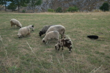 2026_09_02-16_31_40.jpg